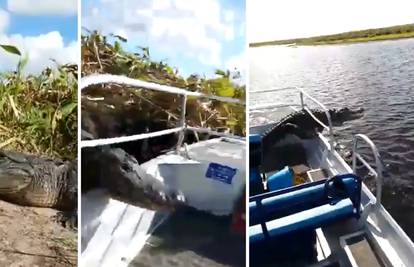 Aligator im je skočio na brod: Turisti su vrištali od straha!