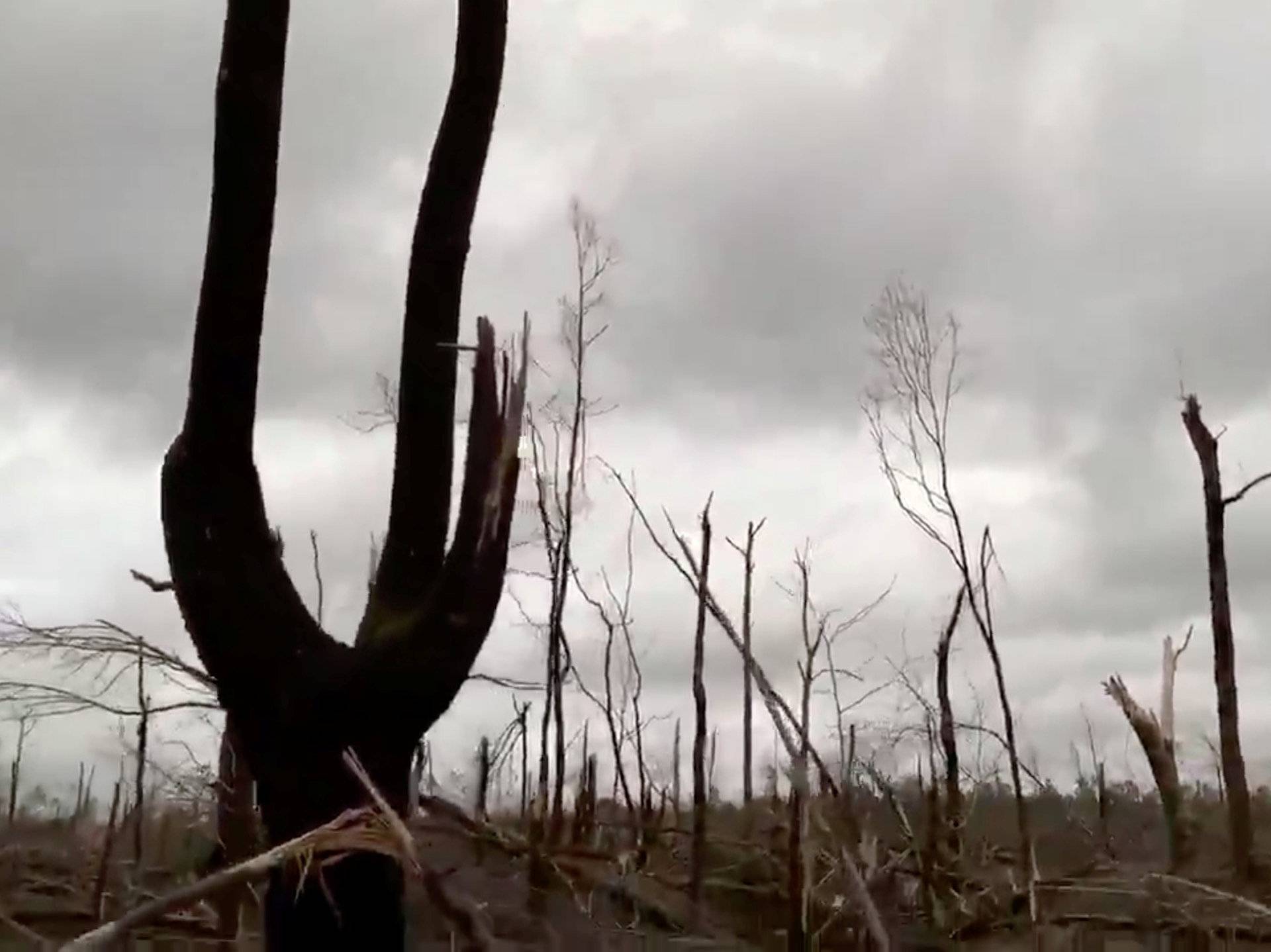 Damaged trees seen following a tornado in Beauregard, Alabama, U.S. in this March 3, 2019 still image obtained from social media video