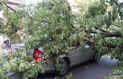 Jak vjetar po Zagrebu iščupao stablo i bacio na auto u vožnji