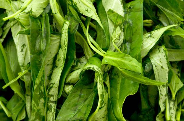 Ovo je sedam vrsta povrća koje je hranjivije kad je - kuhano