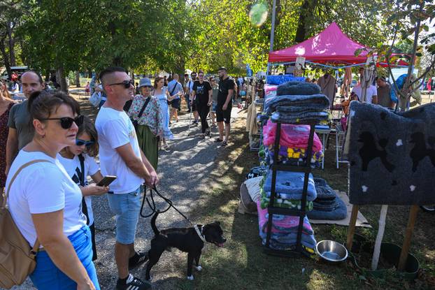 Održana CAC Velika Gorica Trophy 2026., nacionalna izložba pasa svih pasmina