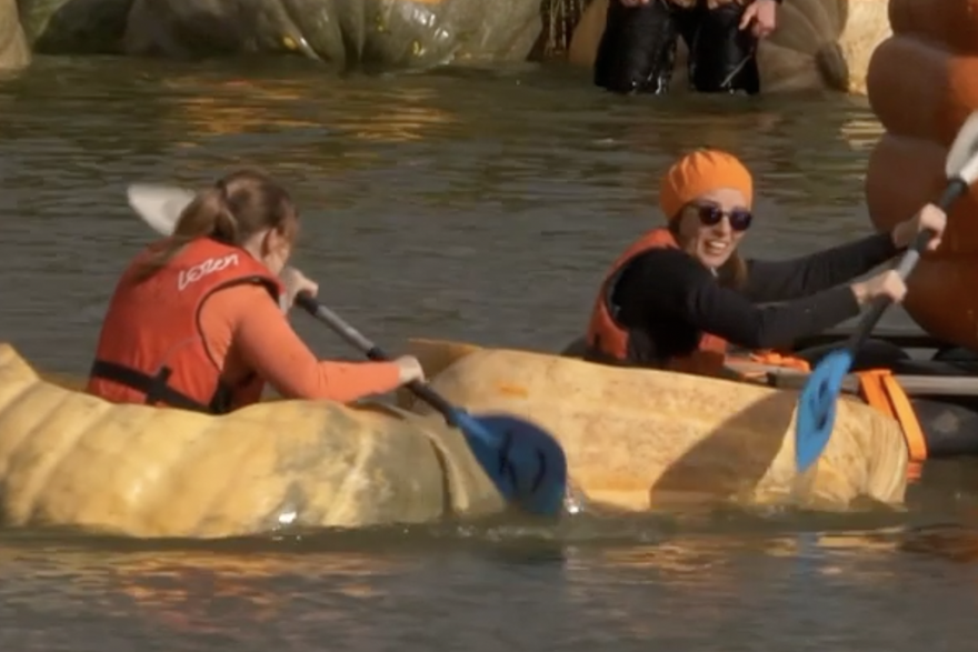 Jedinstvena utrka u Belgiji: Moja bundeva je najbrža! stigni me ako možeš...