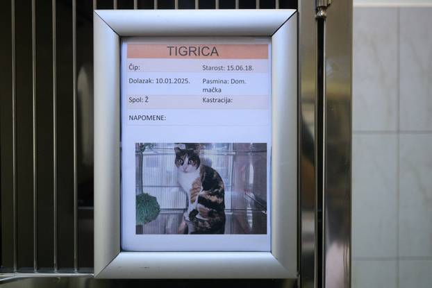 U skloništu Dumovec održan je prvi Dumovečki buvljak na kojem su građani mogli posjetiti sklonište te upoznati pse i mačke