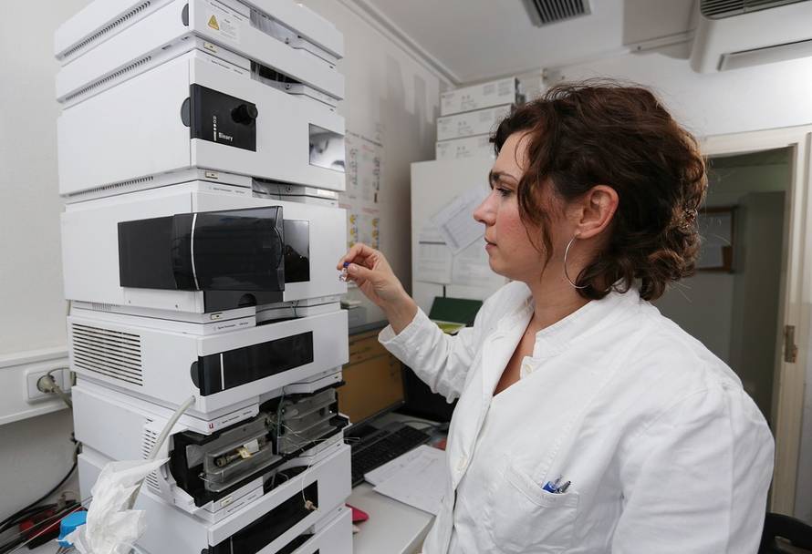 Tomislav Miletić/Pixsell