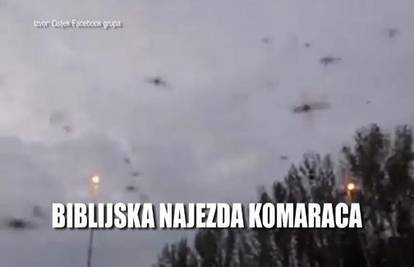Biblijska najezda komaraca na Osijek: Ogromni su i nesnosni