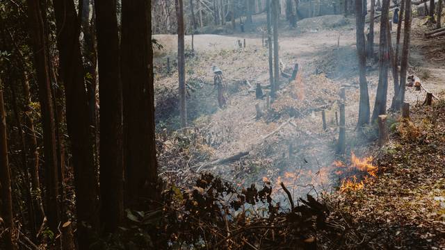 "Ma pusti, sigurno će netko drugi pozvati vatrogasce“: Kako difuzija odgovornosti pali šume