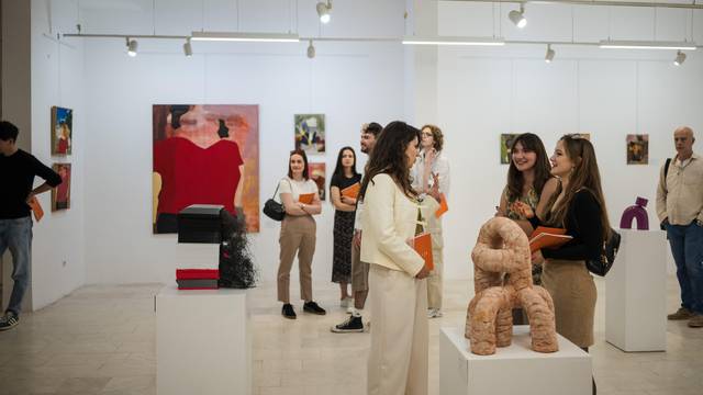 Izložba zagrebačkih studenata 'Definiranje perspektiva' u mostarskim galerijama...