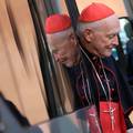 Zbog spolnog zlostavljanja: Suspendirali su kardinala (87)
