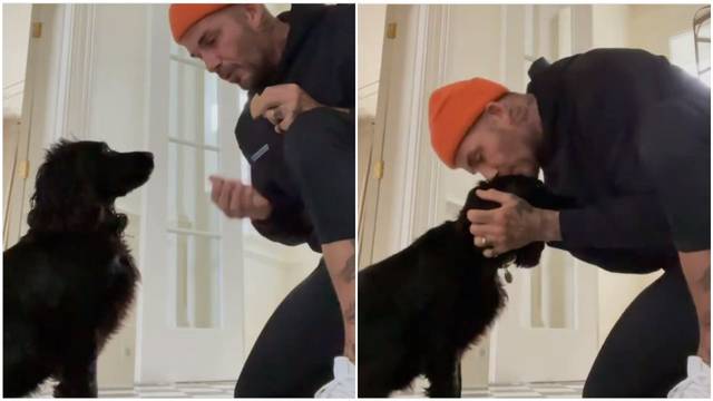 David Beckham podijelio slatki video: Trikove kujice Fig nagradio s kolačićima i pusama