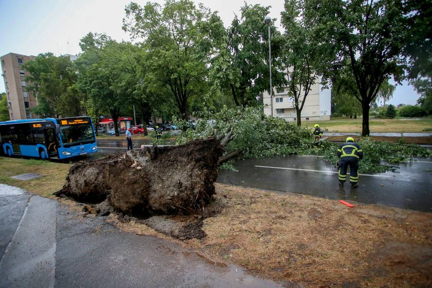 Zagreb: Vatrogasci uklanjaju stablo koje je palo u Ulici Svetog Mateja