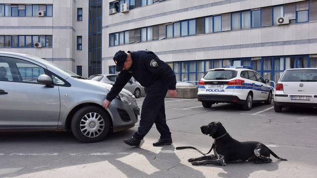 Pula: Policijski pas Duks super njuhom tjera švercere droge u očaj