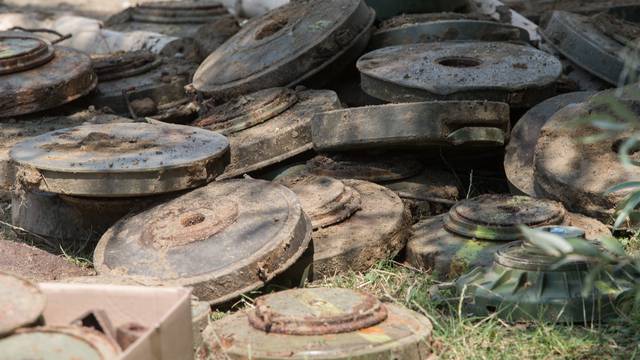 Djelatnici Hrvatskih šuma su pronašli 15 protupješačkih mina