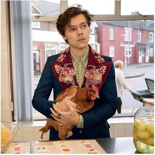 Nakon kokoši i pasa: U naručju Harryja Stylesa je sad praščić