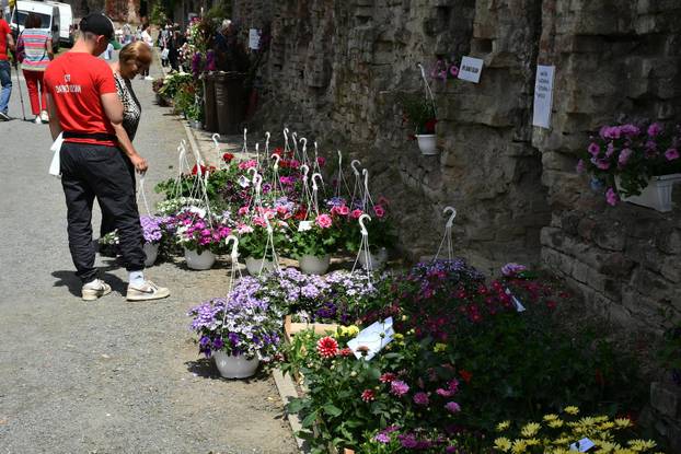 Slavonski Brod: Sajam cvijeća, sadnica, presadnica i cvijetnih dekoracija - Florafest 2026.