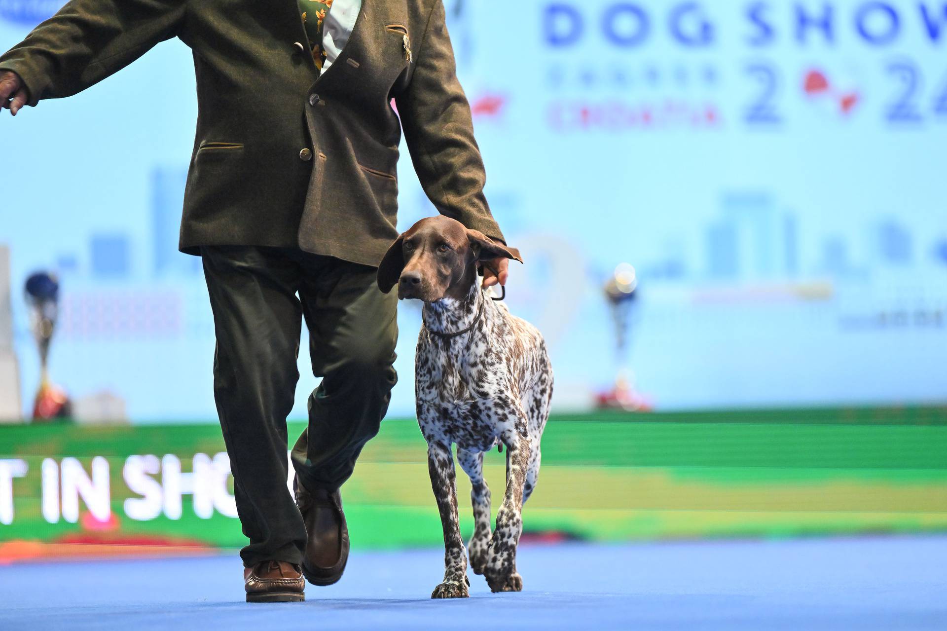 Atmosfera na posljednjem danu World Dog Showa na Zagrebačkom Velesajmu