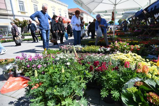 Najveći sajam cvijeća u Podravini privakao pažnju mnogobrojnih ljubitelja flore