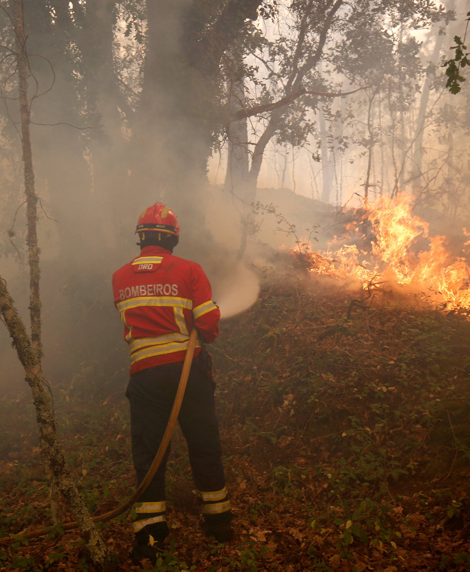 A firefighter tries to extinguish fire during a forest fire near the village of Torgal