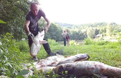 Suša uništila ribnjak 'Brzaja': Uginule velike količine ribe