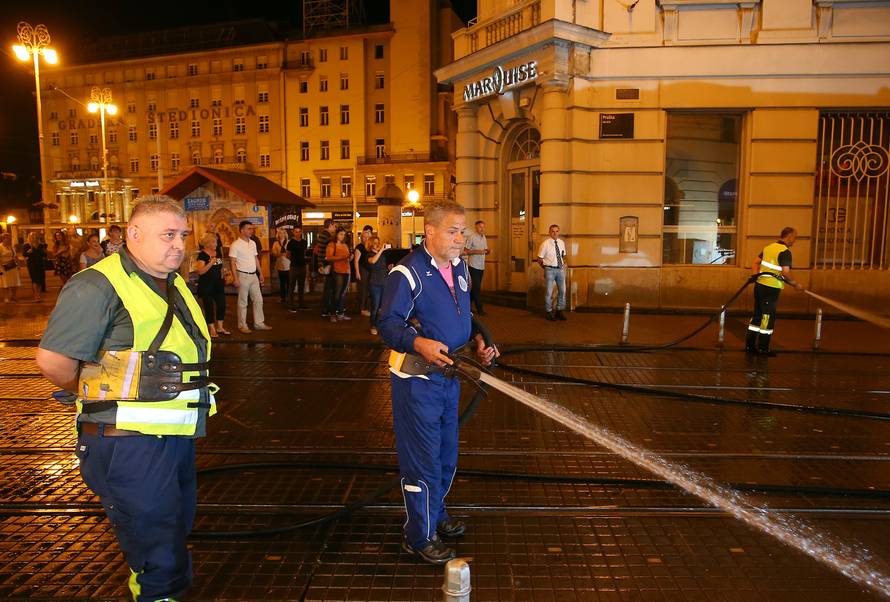 Vatrogasac i vrtlar: Sam uzeo šmrk i vješto barata motikom