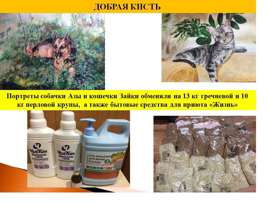 Talentirani dječak mijenja svoje slike da pomogne psima u azilu