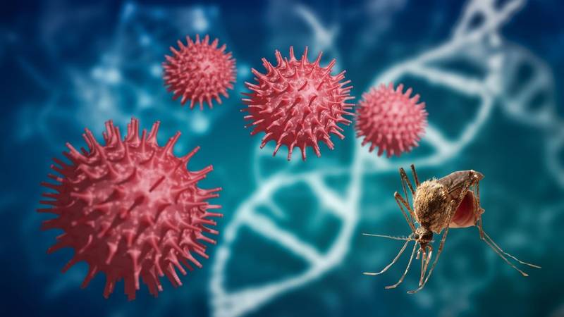 Virus Zapadnog Nila: Kod nas je vrhunac sezone preko ljeta, evo koji simptomi otkrivaju zarazu