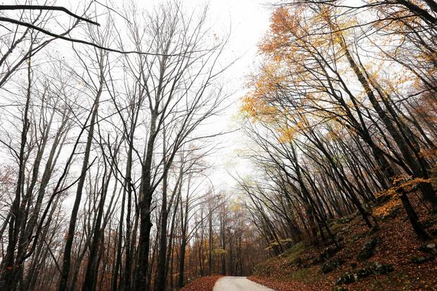 Vodice: Jesenja mističnost Ćićarije