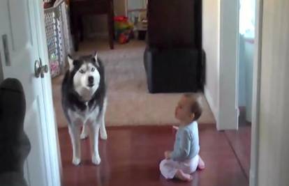 O čemu ovaj pas razgovara s bebom znaju samo njih dvoje
