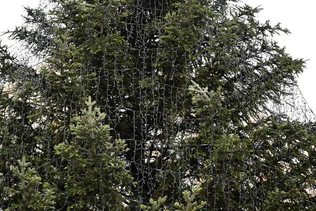 Zagreb: Ukrašavanje glavnog bora u gradu