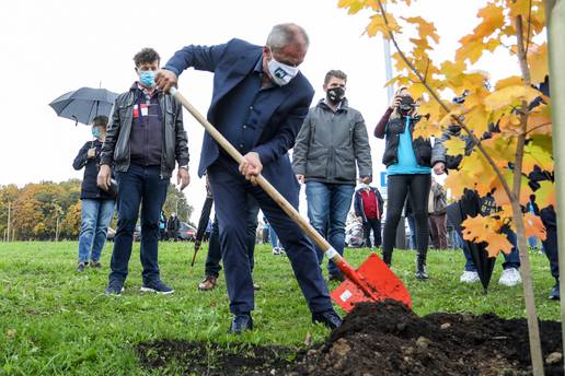 Bandić sudjelovao u sadnji 250 stabala u Sopnici: Nekad je tu bila livada, a sad Beverly Hills