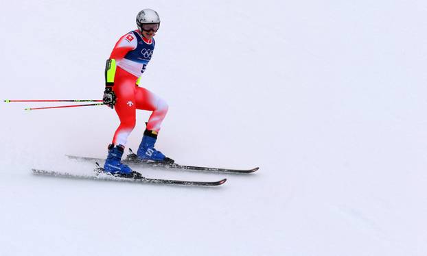 Alpine Skiing - Men's Giant Slalom Run 2