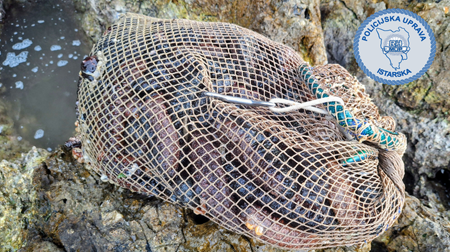 FOTO Uhvatili muškarca u Puli, imao 103 kg morskh krastavaca