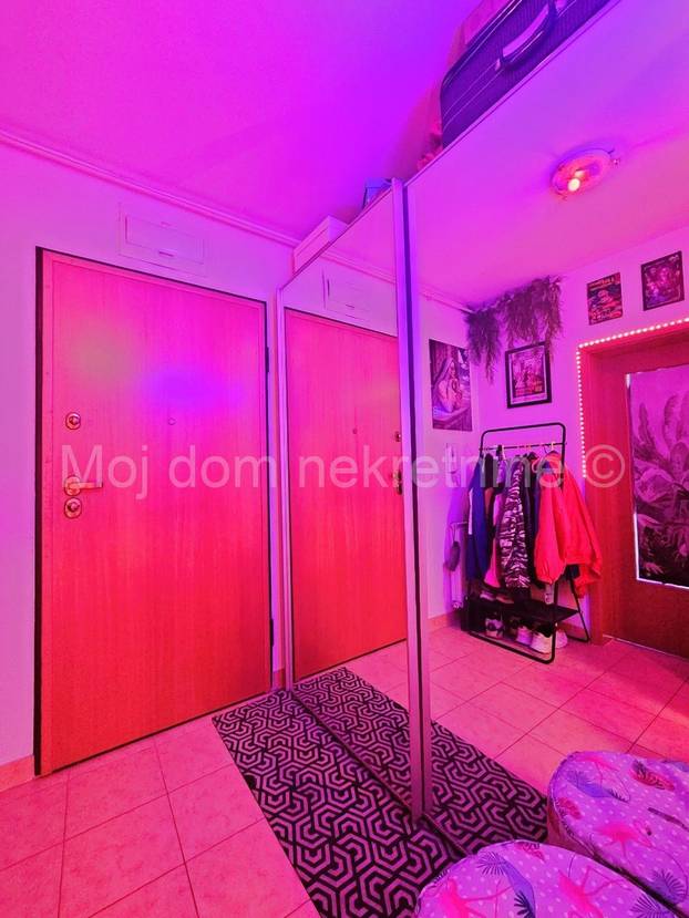 FOTO Prodaje se 'egzotični' stan u Zagrebu. Flamingosi, palme i disco u 36m2! Cijena mu je hit...