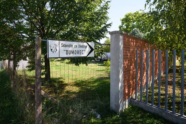 U skloništu Dumovec održan je prvi Dumovečki buvljak na kojem su građani mogli posjetiti sklonište te upoznati pse i mačke