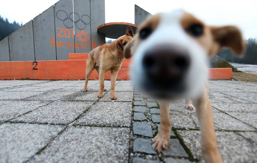 Sarajevo 1984.: Vučko, Jurek 'burek' i Sanda za povijest...