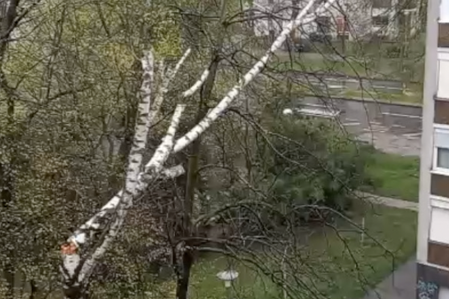 Zbog jakog vjetra puklo stablo u Zagrebu