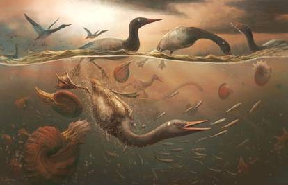 Fosil s Antarktike možda je rana ptica iz vremena dinosaura