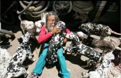 Obožava dalmatinere, udomio je već 42 psa