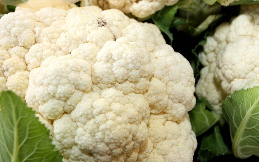 Marko Mrkonjić/Pixsell