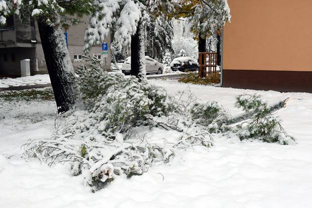 Sisak: Polomljene grane zbog težine snijega
