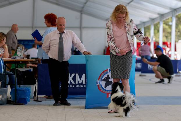 Zaton: Međunarodna izložba pasa pod nazivom CACIB Zadar 2025