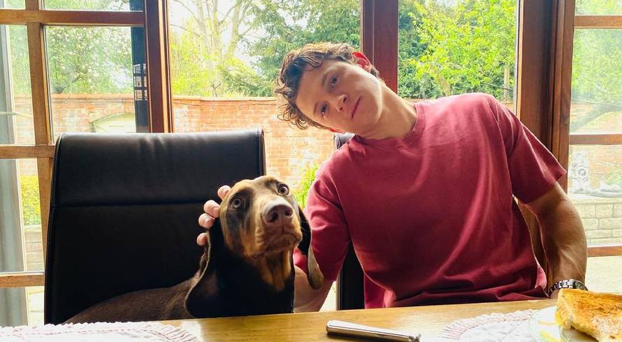 Tom Holland iskreno: 'Osjećao sam se grozno i povratio sam čak, ali sve je to sada iza mene'