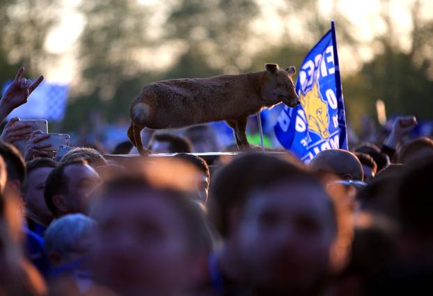 Leicester: Leicester City paradom kroz grad proslavio naslov prvaka Premierlige