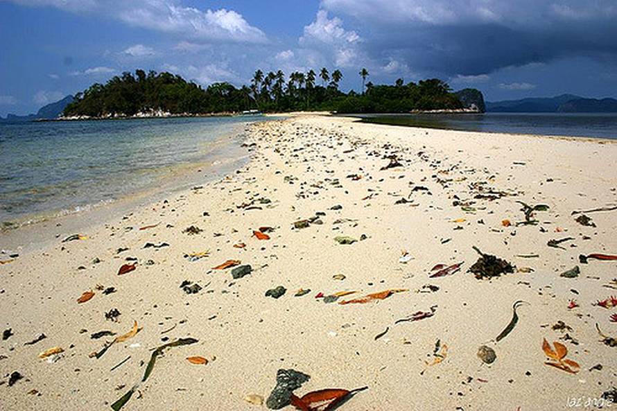 Životinjsko carstvo: Na ovim otocima vladaju divlje zvijeri