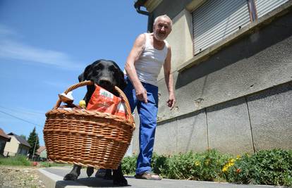 Uigran duo: 'Moj labrador ide u dućan i nosi punu košaru kući'