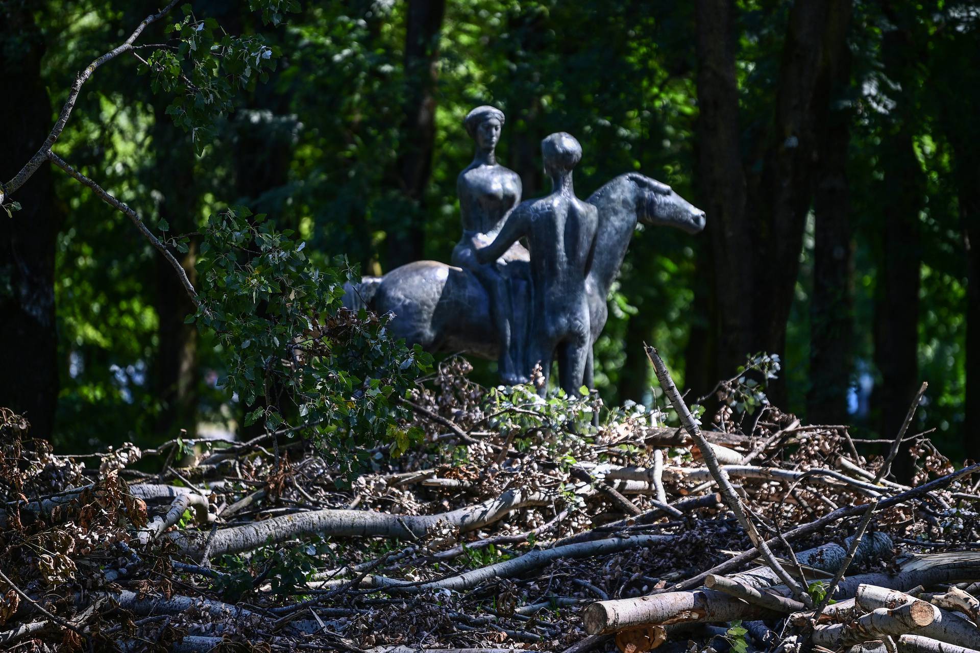 Olujno nevrijeme uništilo Park mladenaca u Zagrebu, srušena stabla još nisu uklonjena