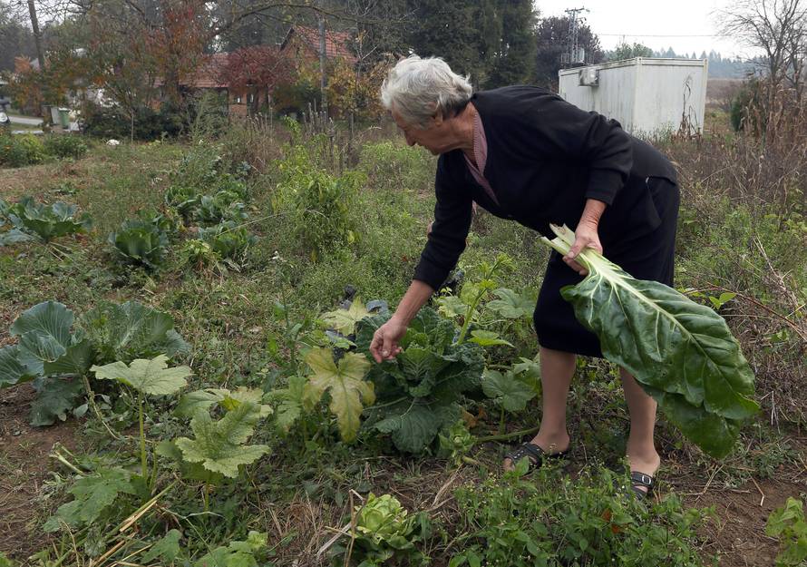 'Sin je preživio rat, ali onda ga je ubio traktor. Bilo mu je 38...'