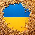 Rusija: Mariupolj i Berdanjsk su spremni za izvoz žitarica