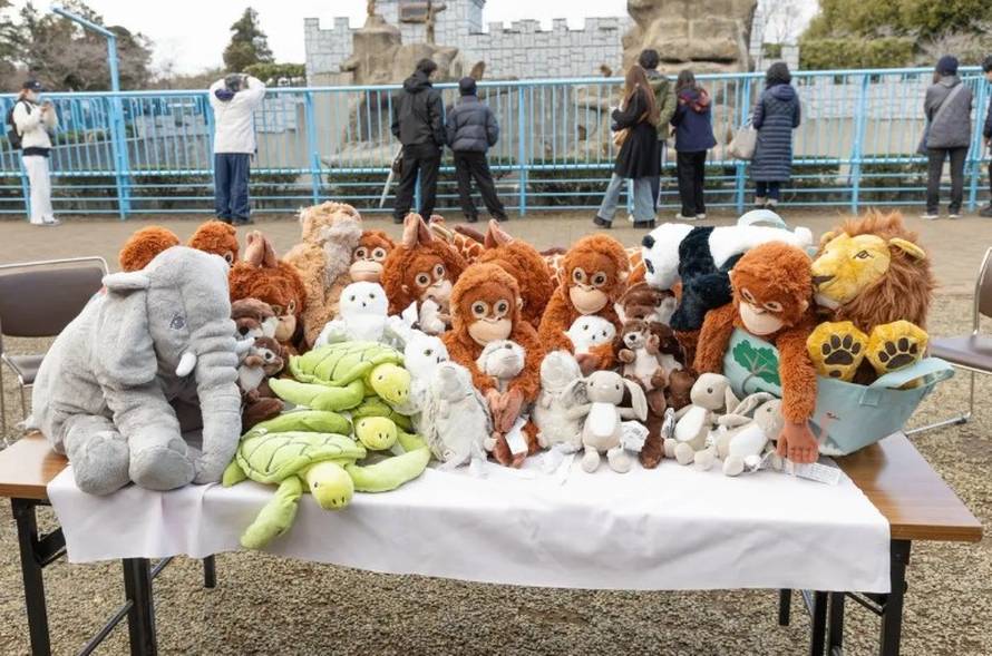 Ovo je tužna istina o majmunu Punchu: I ozloglašeni Andrew Tate nudio  215.000 € za njega!