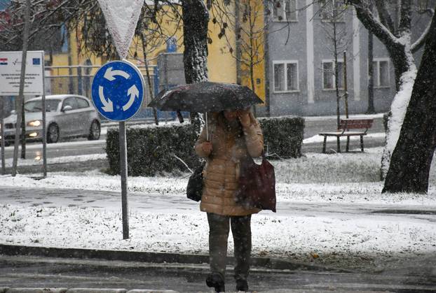Slavonski Brod: Gusti snijeg stvara probleme i zastoje u prometu