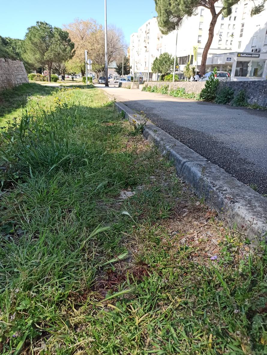 Strašno! Snimku kako mlate  dječaka šeraju na TikToku?! Liječnik: Teško je ozlijeđen